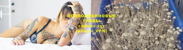 мяу мяу мука Алексеевка