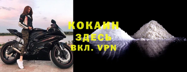 винт Алзамай