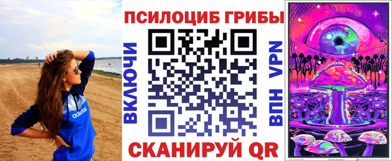 Псилоцибиновые грибы Psilocybe  Нижние Серги 